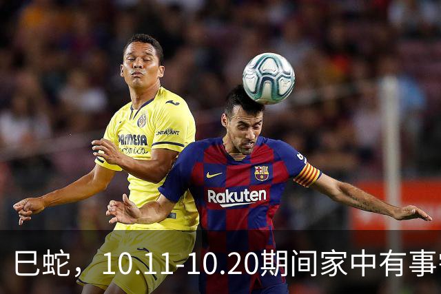 巳蛇，10.11-10.20期间家中有事需重视，别再拖延
